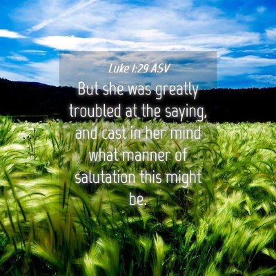 Picture 04 - Luke 1:29 ASV - But she was greatly troubled at the saying, and - Bible Verse Picture