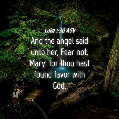 Picture 04 - Luke 1:30 ASV - And the angel said unto her, Fear not, Mary: for - Bible Verse Picture