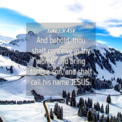 Picture 04 - Luke 1:31 ASV - And behold, thou shalt conceive in thy womb, and - Bible Verse Picture