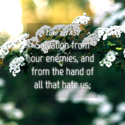 Picture 04 - Luke 1:71 ASV - Salvation from our enemies, and from the hand of - Bible Verse Picture