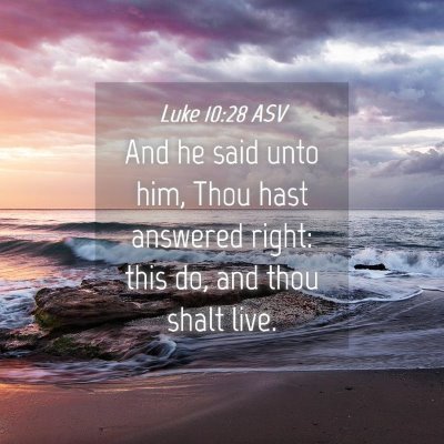 Picture 04 - Luke 10:28 ASV - And he said unto him, Thou hast answered right: - Bible Verse Picture