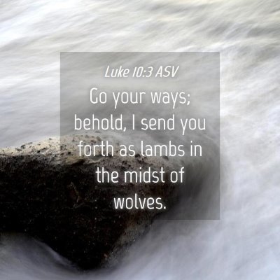 Picture 04 - Luke 10:3 ASV - Go your ways; behold, I send you forth as lambs - Bible Verse Picture