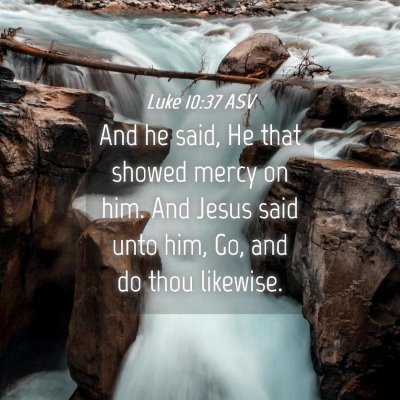 Picture 04 - Luke 10:37 ASV - And he said, He that showed mercy on him. And - Bible Verse Picture