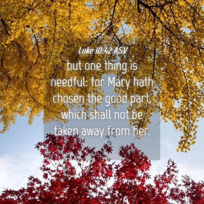 Picture 04 - Luke 10:42 ASV - but one thing is needful: for Mary hath chosen - Bible Verse Picture