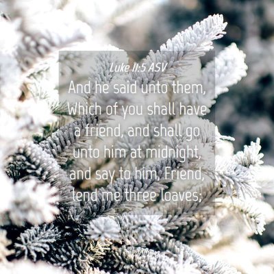Picture 04 - Luke 11:5 ASV - And he said unto them, Which of you shall have a - Bible Verse Picture