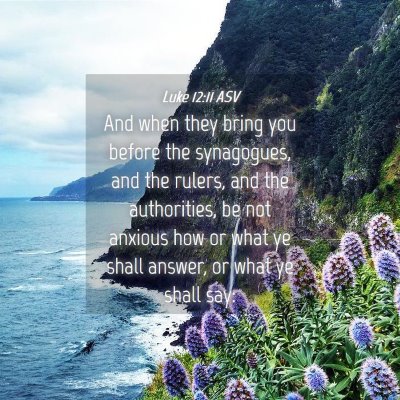 Picture 04 - Luke 12:11 ASV - And when they bring you before the synagogues, - Bible Verse Picture