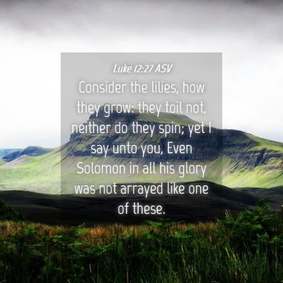 Picture 04 - Luke 12:27 ASV - Consider the lilies, how they grow: they toil - Bible Verse Picture