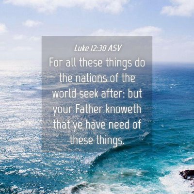 Picture 04 - Luke 12:30 ASV - For all these things do the nations of the world - Bible Verse Picture