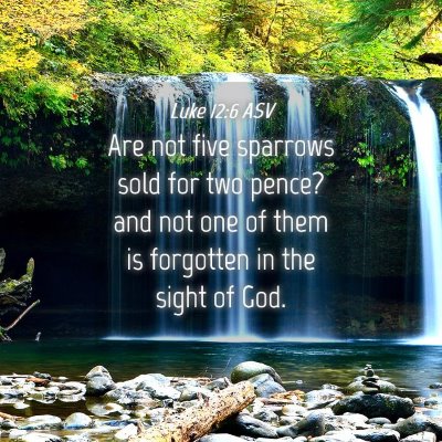 Picture 04 - Luke 12:6 ASV - Are not five sparrows sold for two pence? and not - Bible Verse Picture
