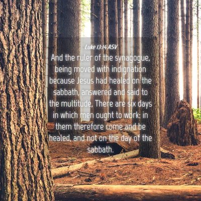 Picture 04 - Luke 13:14 ASV - And the ruler of the synagogue, being moved with - Bible Verse Picture