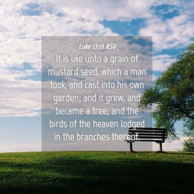 Picture 04 - Luke 13:19 ASV - It is like unto a grain of mustard seed, which a - Bible Verse Picture