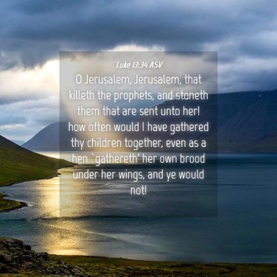 Picture 04 - Luke 13:34 ASV - O Jerusalem, Jerusalem, that killeth the - Bible Verse Picture