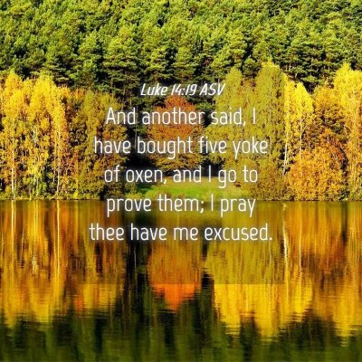 Picture 04 - Luke 14:19 ASV - And another said, I have bought five yoke of - Bible Verse Picture