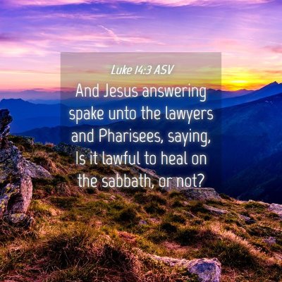 Picture 04 - Luke 14:3 ASV - And Jesus answering spake unto the lawyers and - Bible Verse Picture