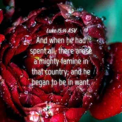 Picture 04 - Luke 15:14 ASV - And when he had spent all, there arose a mighty - Bible Verse Picture