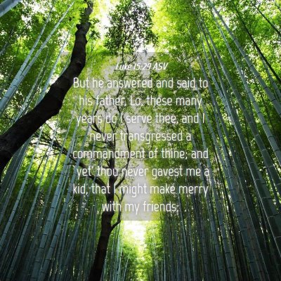 Picture 04 - Luke 15:29 ASV - But he answered and said to his father, Lo, these - Bible Verse Picture