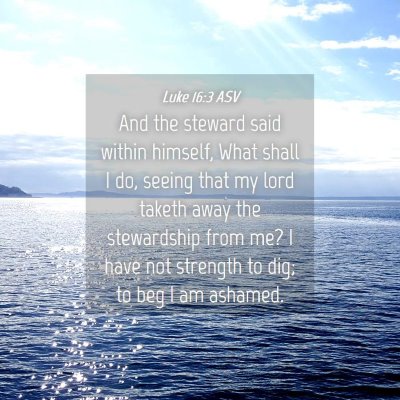 Picture 04 - Luke 16:3 ASV - And the steward said within himself, What shall I - Bible Verse Picture