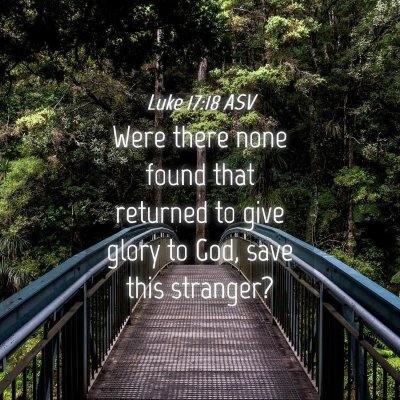 Picture 04 - Luke 17:18 ASV - Were there none found that returned to give glory - Bible Verse Picture