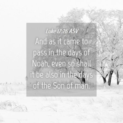 Picture 04 - Luke 17:26 ASV - And as it came to pass in the days of Noah, even - Bible Verse Picture