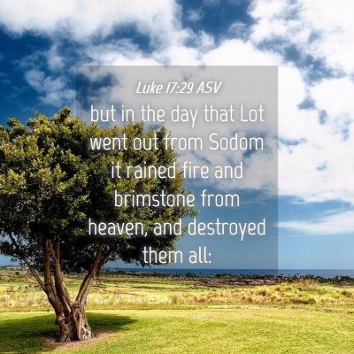 Picture 04 - Luke 17:29 ASV - but in the day that Lot went out from Sodom it - Bible Verse Picture
