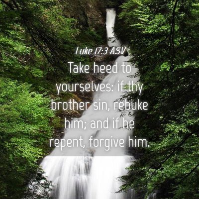 Picture 04 - Luke 17:3 ASV - Take heed to yourselves: if thy brother sin, - Bible Verse Picture