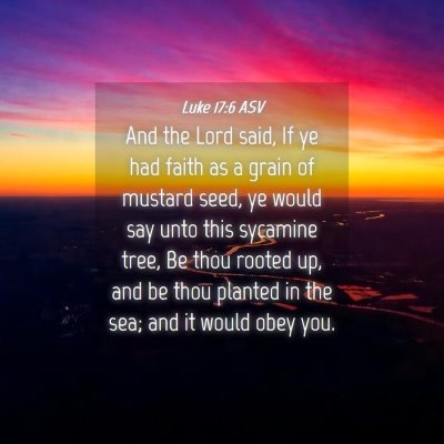 Picture 04 - Luke 17:6 ASV - And the Lord said, If ye had faith as a grain of - Bible Verse Picture