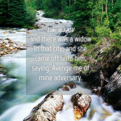 Picture 04 - Luke 18:3 ASV - and there was a widow in that city; and she came - Bible Verse Picture