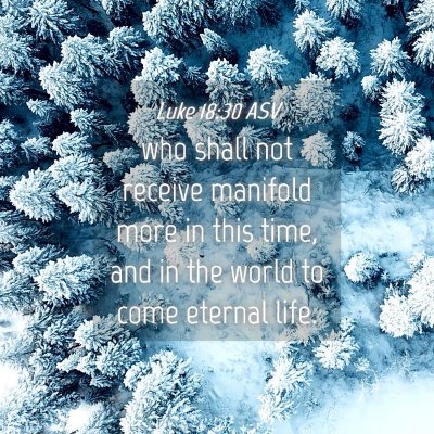 Picture 04 - Luke 18:30 ASV - who shall not receive manifold more in this time, - Bible Verse Picture