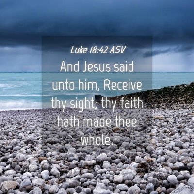 Picture 04 - Luke 18:42 ASV - And Jesus said unto him, Receive thy sight; thy - Bible Verse Picture