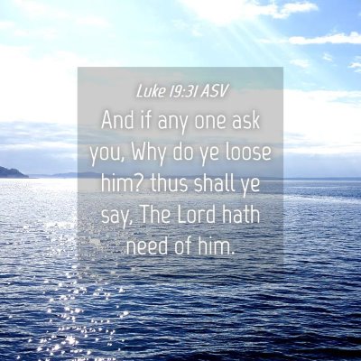 Picture 04 - Luke 19:31 ASV - And if any one ask you, Why do ye loose him? thus - Bible Verse Picture