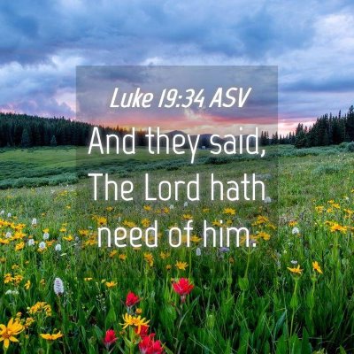 Picture 04 - Luke 19:34 ASV - And they said, The Lord hath need of - Bible Verse Picture