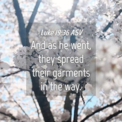 Picture 04 - Luke 19:36 ASV - And as he went, they spread their garments in the - Bible Verse Picture