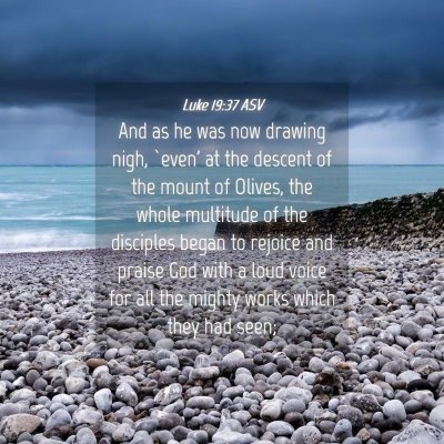 Picture 04 - Luke 19:37 ASV - And as he was now drawing nigh, `even' at the - Bible Verse Picture