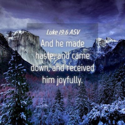 Picture 04 - Luke 19:6 ASV - And he made haste, and came down, and received - Bible Verse Picture