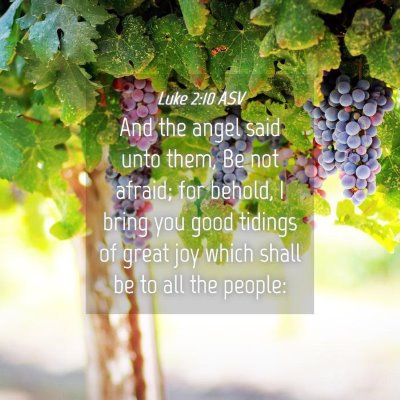 Picture 04 - Luke 2:10 ASV - And the angel said unto them, Be not afraid; for - Bible Verse Picture