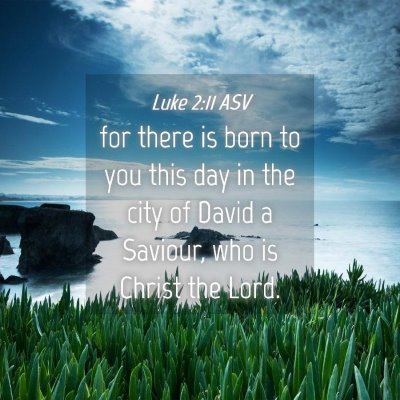 Picture 04 - Luke 2:11 ASV - for there is born to you this day in the city of - Bible Verse Picture