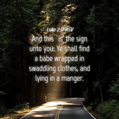 Picture 04 - Luke 2:12 ASV - And this `is' the sign unto you: Ye shall find a - Bible Verse Picture