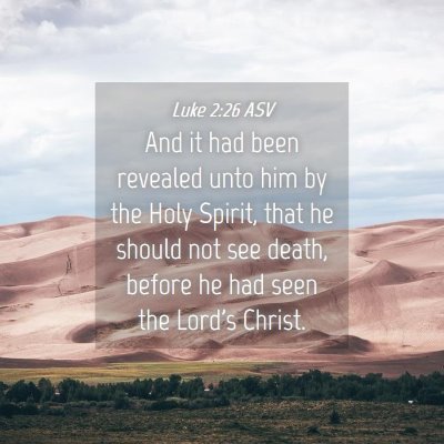 Picture 04 - Luke 2:26 ASV - And it had been revealed unto him by the Holy - Bible Verse Picture