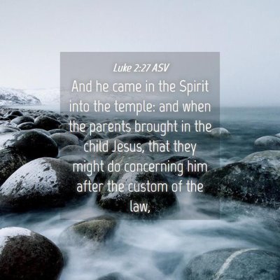 Picture 04 - Luke 2:27 ASV - And he came in the Spirit into the temple: and - Bible Verse Picture
