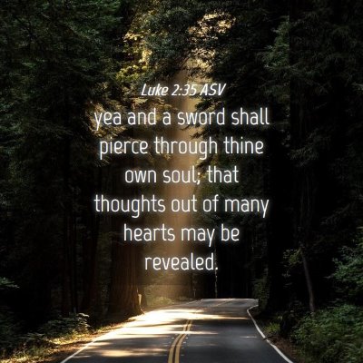 Picture 04 - Luke 2:35 ASV - yea and a sword shall pierce through thine own - Bible Verse Picture