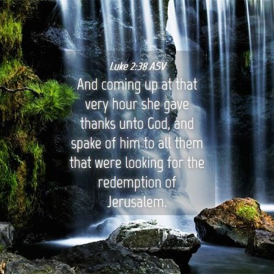 Picture 04 - Luke 2:38 ASV - And coming up at that very hour she gave thanks - Bible Verse Picture