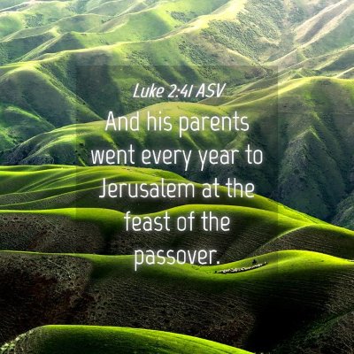 Picture 04 - Luke 2:41 ASV - And his parents went every year to Jerusalem at - Bible Verse Picture