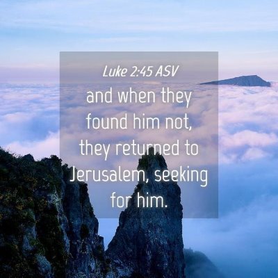 Picture 04 - Luke 2:45 ASV - and when they found him not, they returned to - Bible Verse Picture