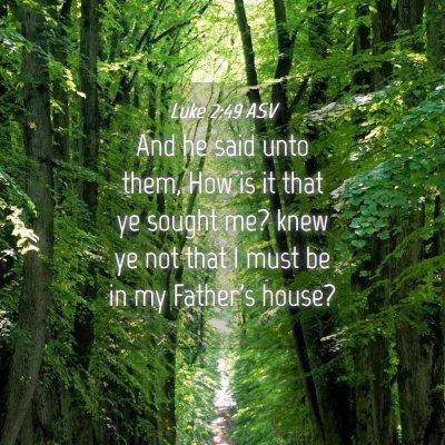 Picture 04 - Luke 2:49 ASV - And he said unto them, How is it that ye sought - Bible Verse Picture