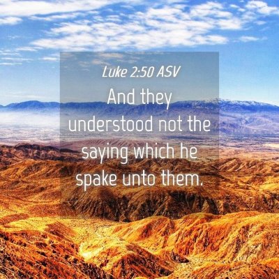 Picture 04 - Luke 2:50 ASV - And they understood not the saying which he spake - Bible Verse Picture