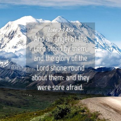 Picture 04 - Luke 2:9 ASV - And an angel of the Lord stood by them, and the - Bible Verse Picture