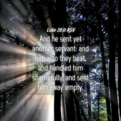 Picture 04 - Luke 20:11 ASV - And he sent yet another servant: and him also - Bible Verse Picture