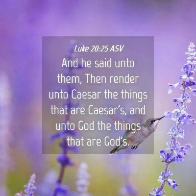 Picture 04 - Luke 20:25 ASV - And he said unto them, Then render unto Caesar - Bible Verse Picture