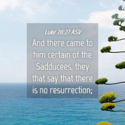 Picture 04 - Luke 20:27 ASV - And there came to him certain of the Sadducees, - Bible Verse Picture