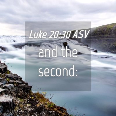 Picture 04 - Luke 20:30 ASV - and the - Bible Verse Picture
